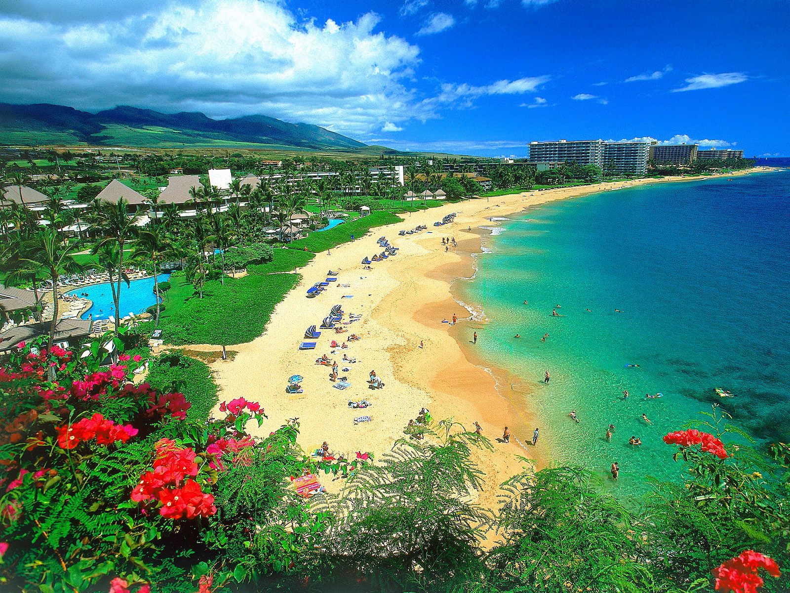 Paradise And Sunshine In Hawaii