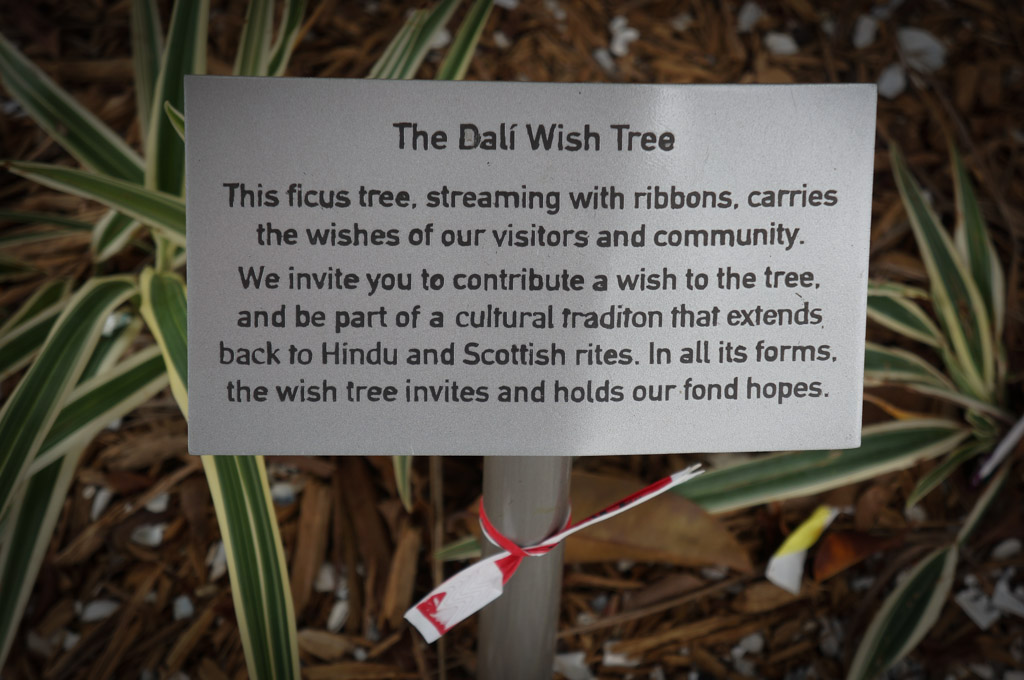 Salvador dali museum discount coupons
