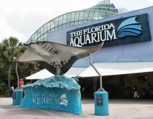 Navigation menu The Florida Aquarium Package