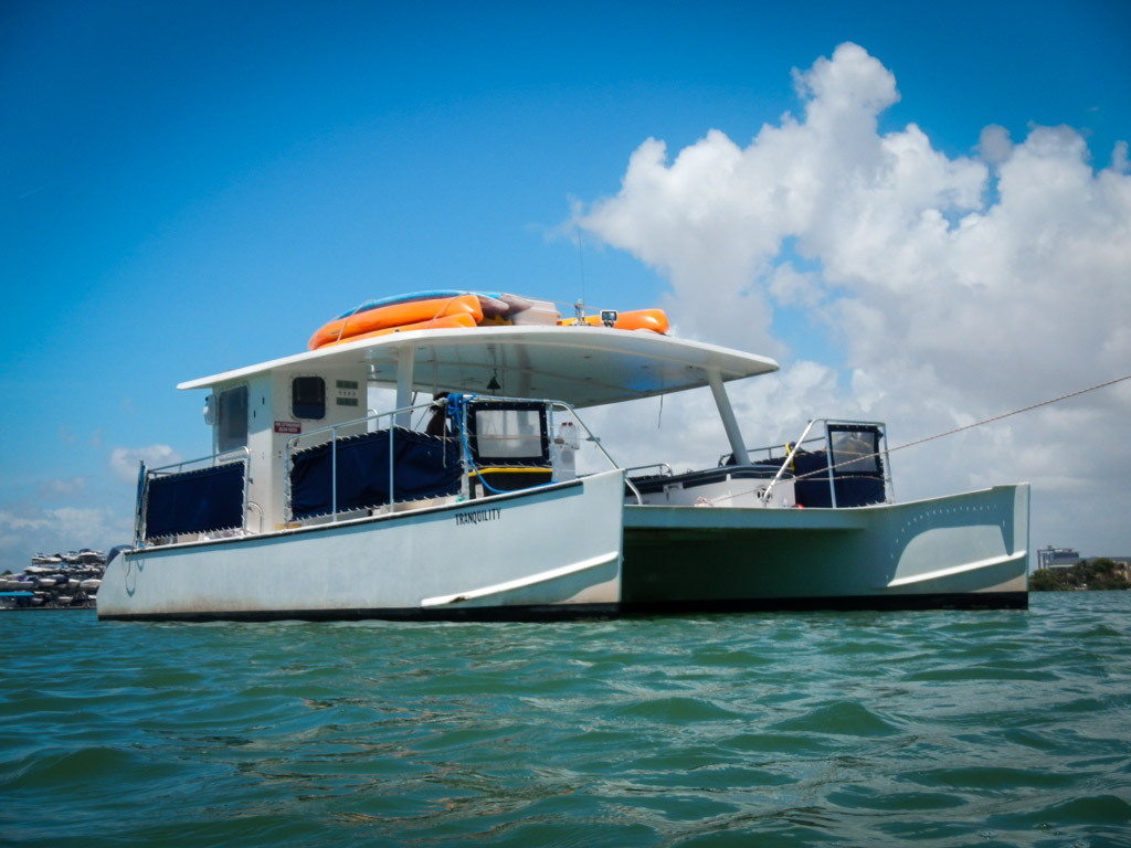 Ski & Splash Adventure with Tropical Sailing Miami Review