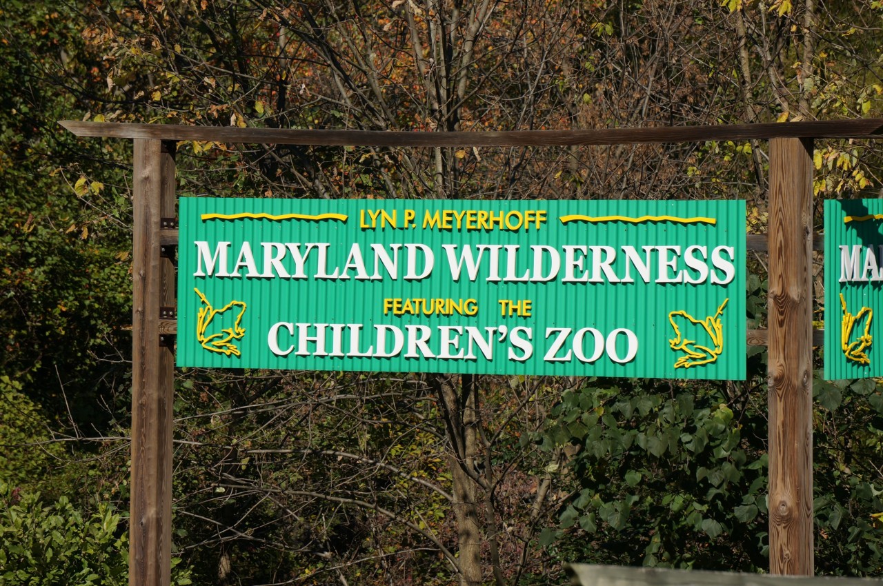 Going Wild! A Review of the Maryland Zoo in Baltimore