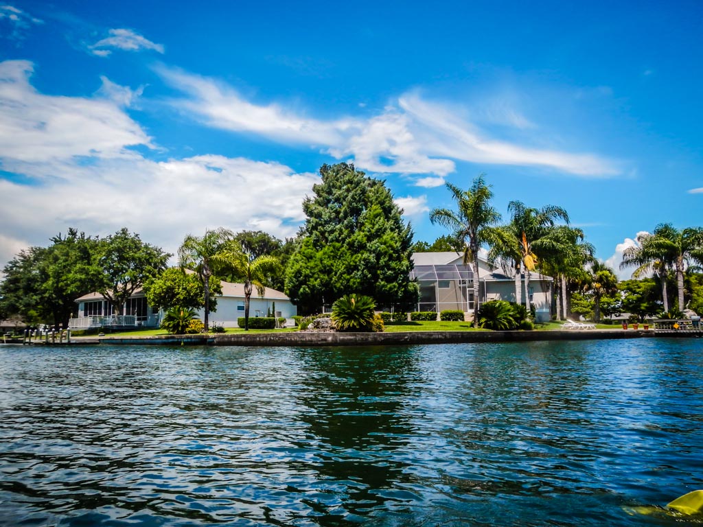 Discovering Florida's Wildlife in Citrus County