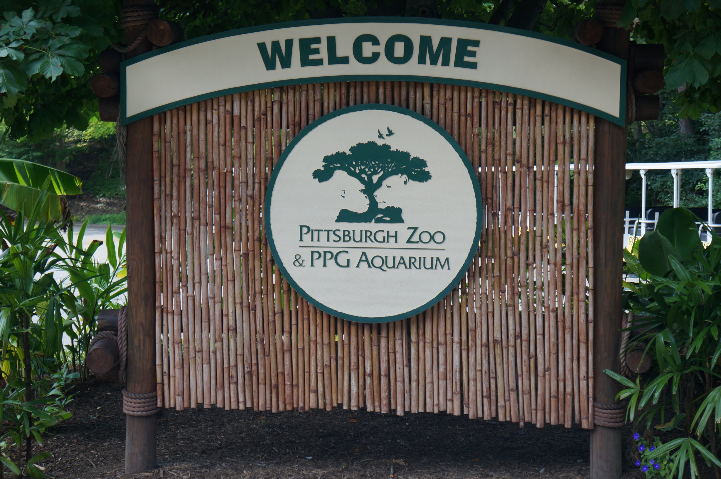 A Day at The Pittsburgh Zoo & PPG Aquarium
