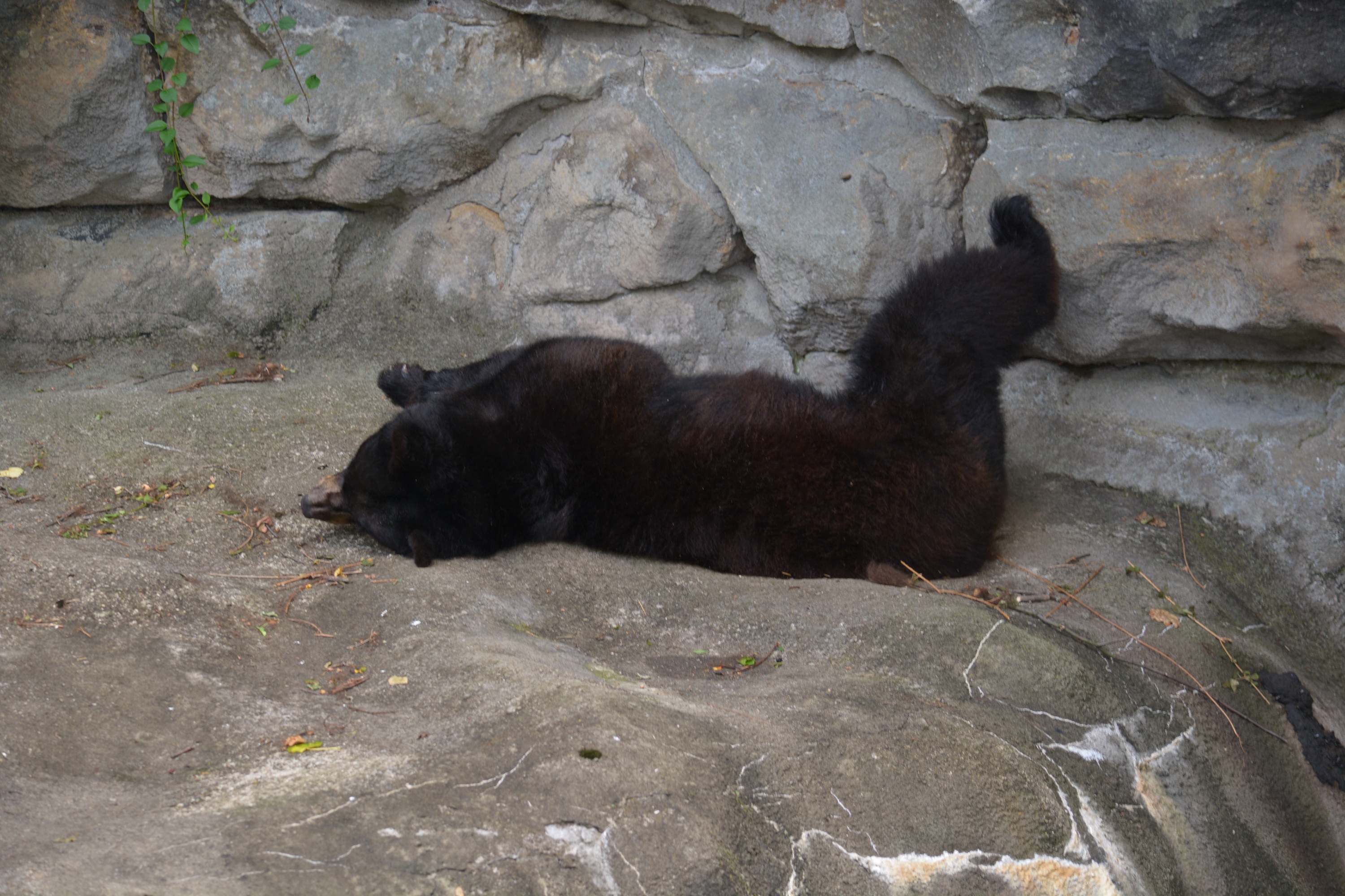 A Day at The Pittsburgh Zoo & PPG Aquarium