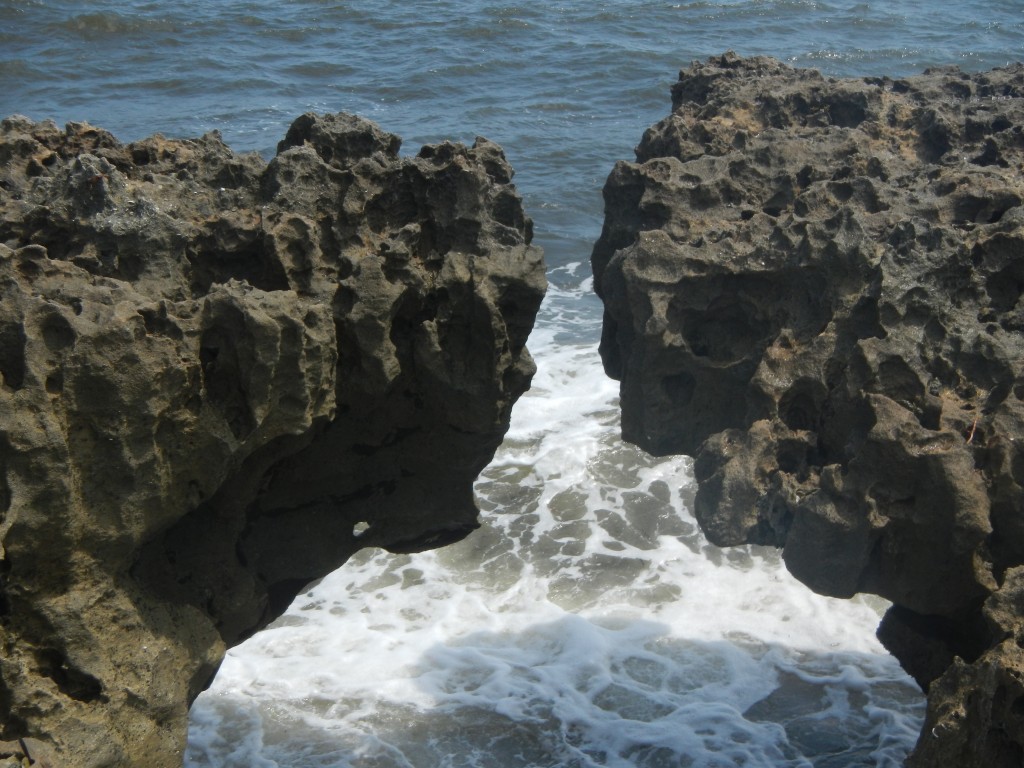 Blowing Rocks Preserve Jupiter FL Beach Where to go FL Beaches