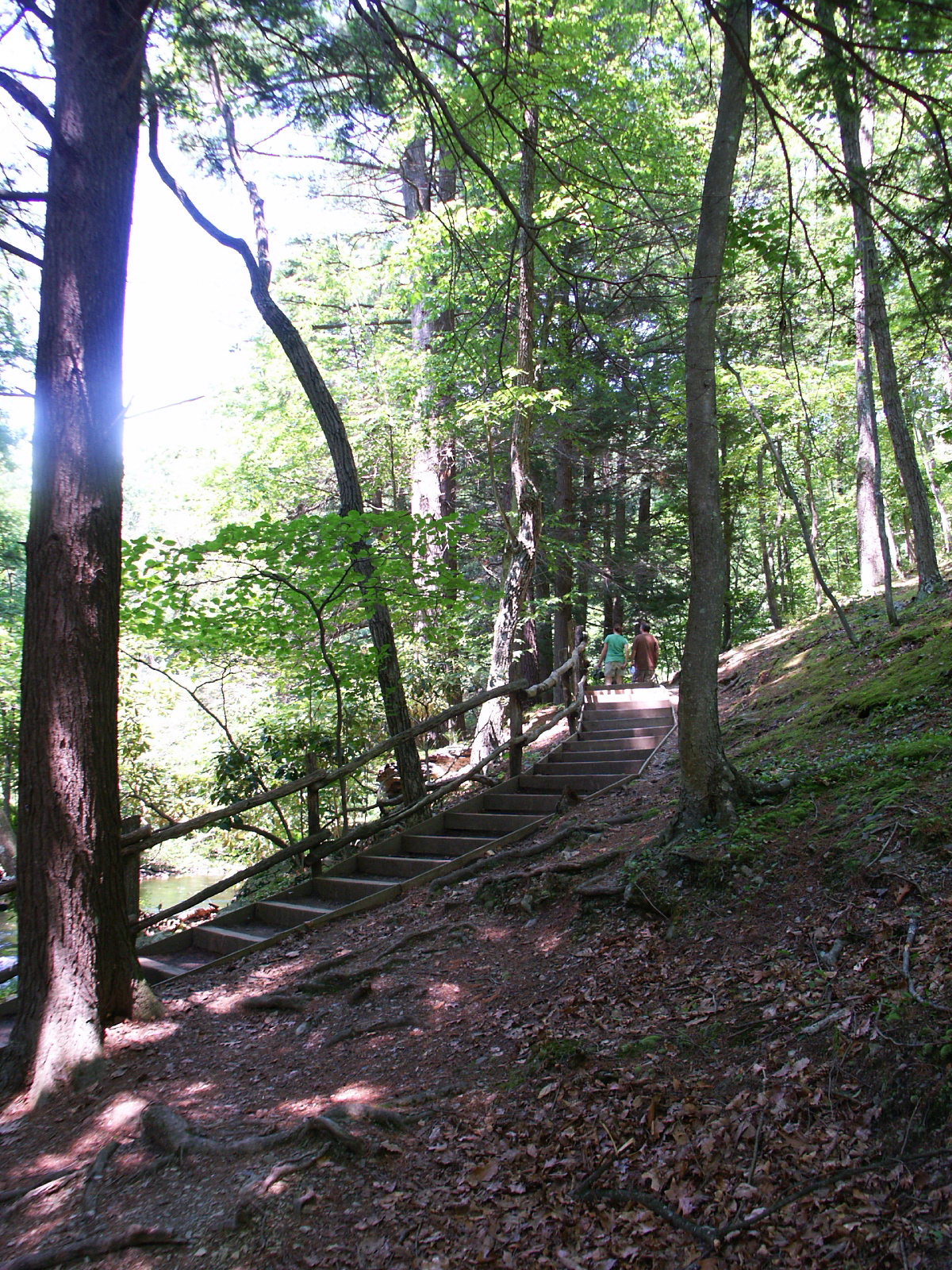 Bushkill Falls | Niagara of Pennsylvania | Poconos | Pet ... Bushkill Falls | Niagara of Pennsylvania | Poconos | Pet ...