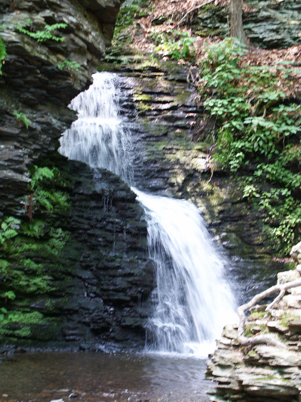 Bushkill Falls | Niagara of Pennsylvania | Poconos | Pet ... Bushkill Falls | Niagara of Pennsylvania | Poconos | Pet ...