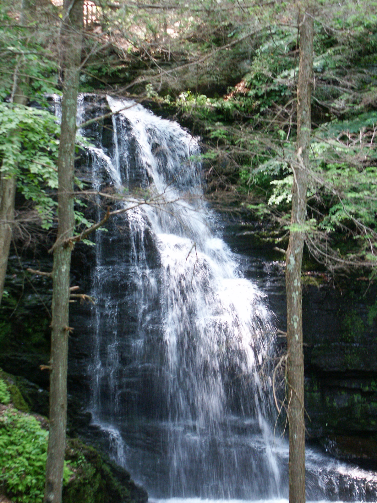 Bushkill Falls | Niagara of Pennsylvania | Poconos | Pet ... Bushkill Falls | Niagara of Pennsylvania | Poconos | Pet ...
