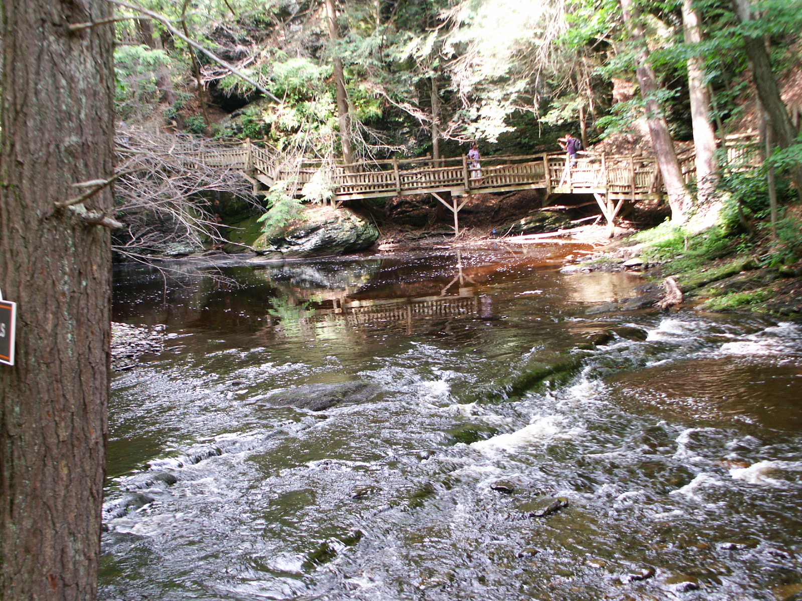 Bushkill Falls | Niagara of Pennsylvania | Poconos | Pet ...
