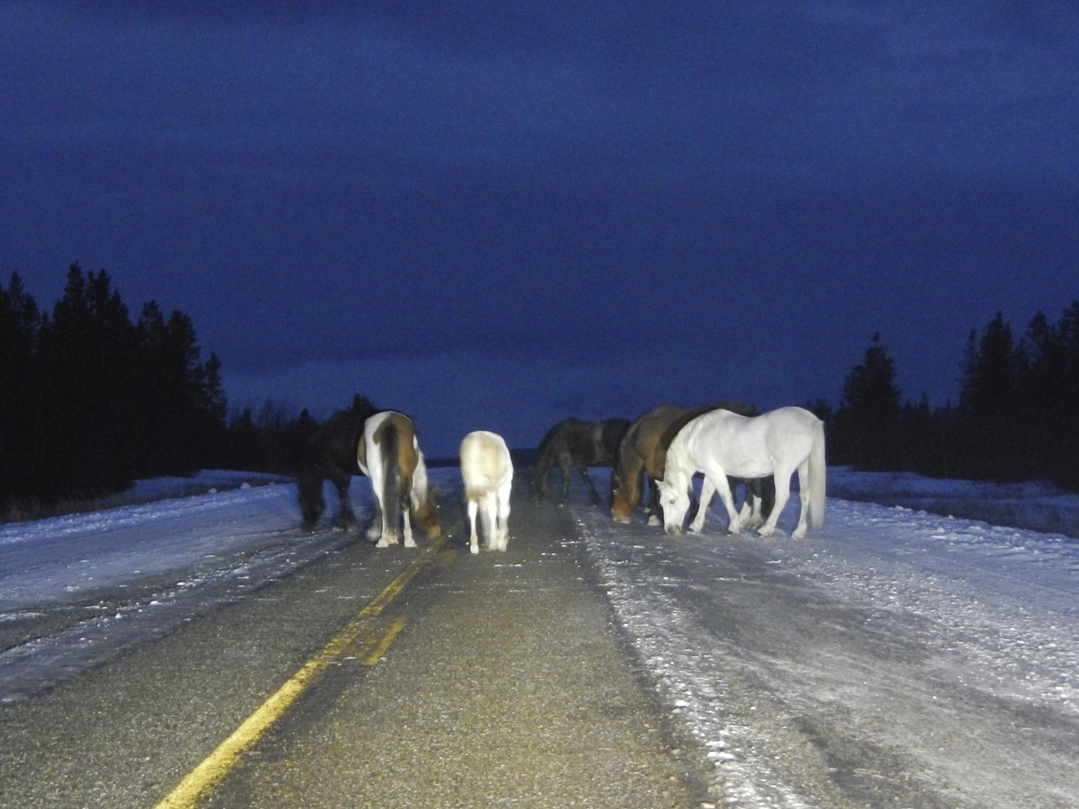 Florida to Alaska Road Trip Route Banff Alaska Highway Photos