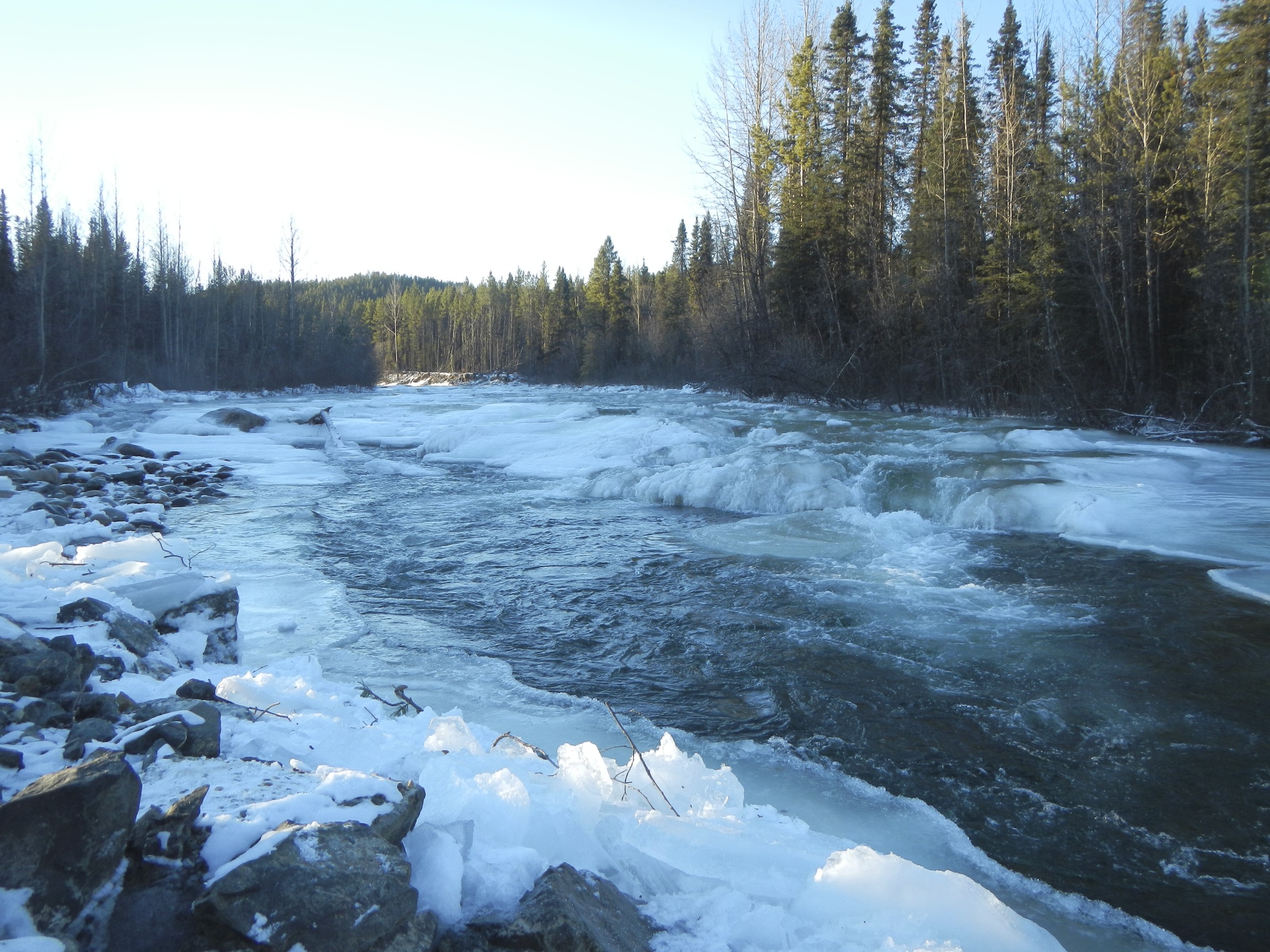 Road Trip Route Alaska to Vancouver | Cassiar Highway | Travel