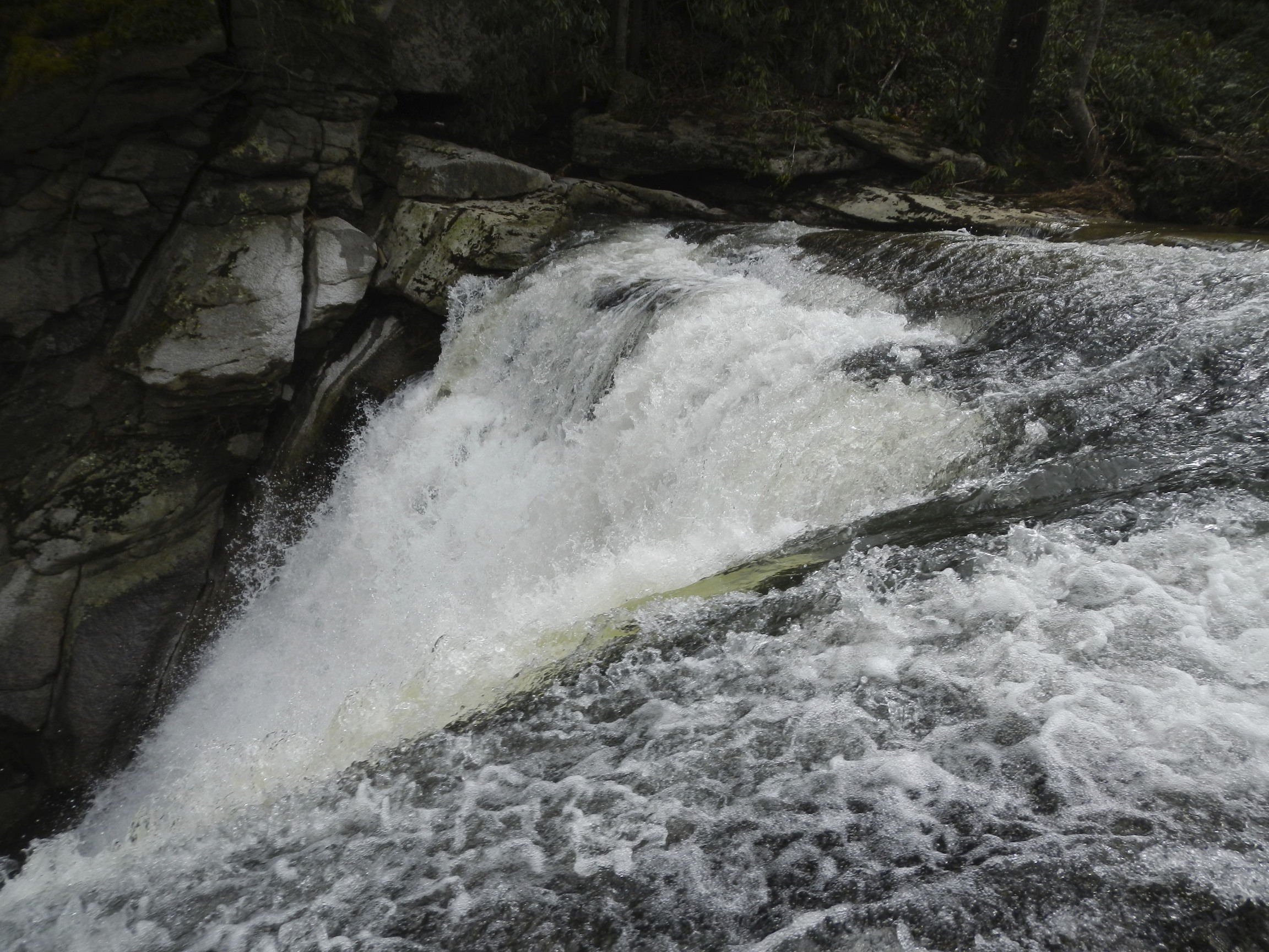 Elk River Falls, NC Dog Friendly Banner Elk Photos