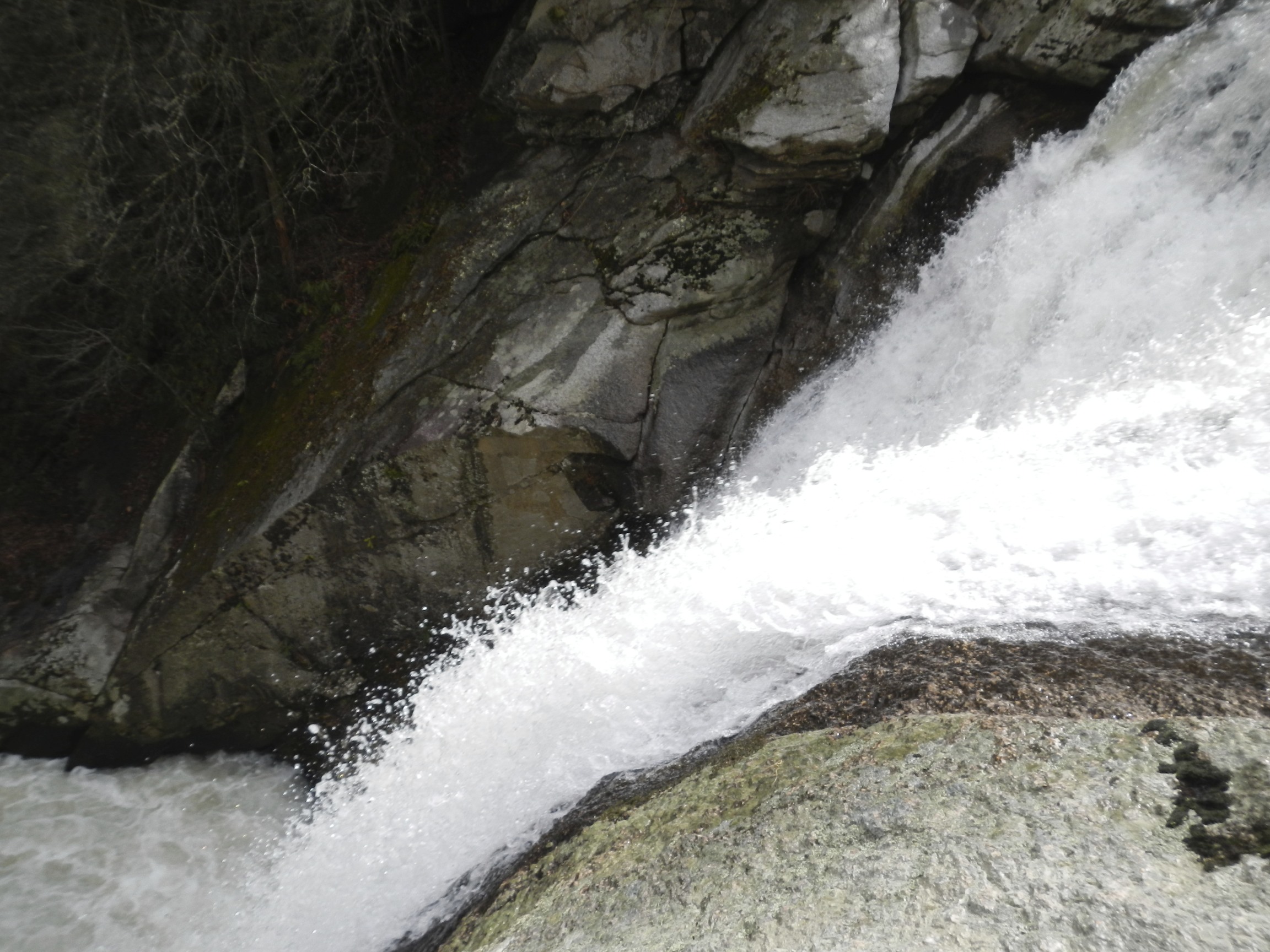 Elk River Falls, NC Dog Friendly Banner Elk Photos