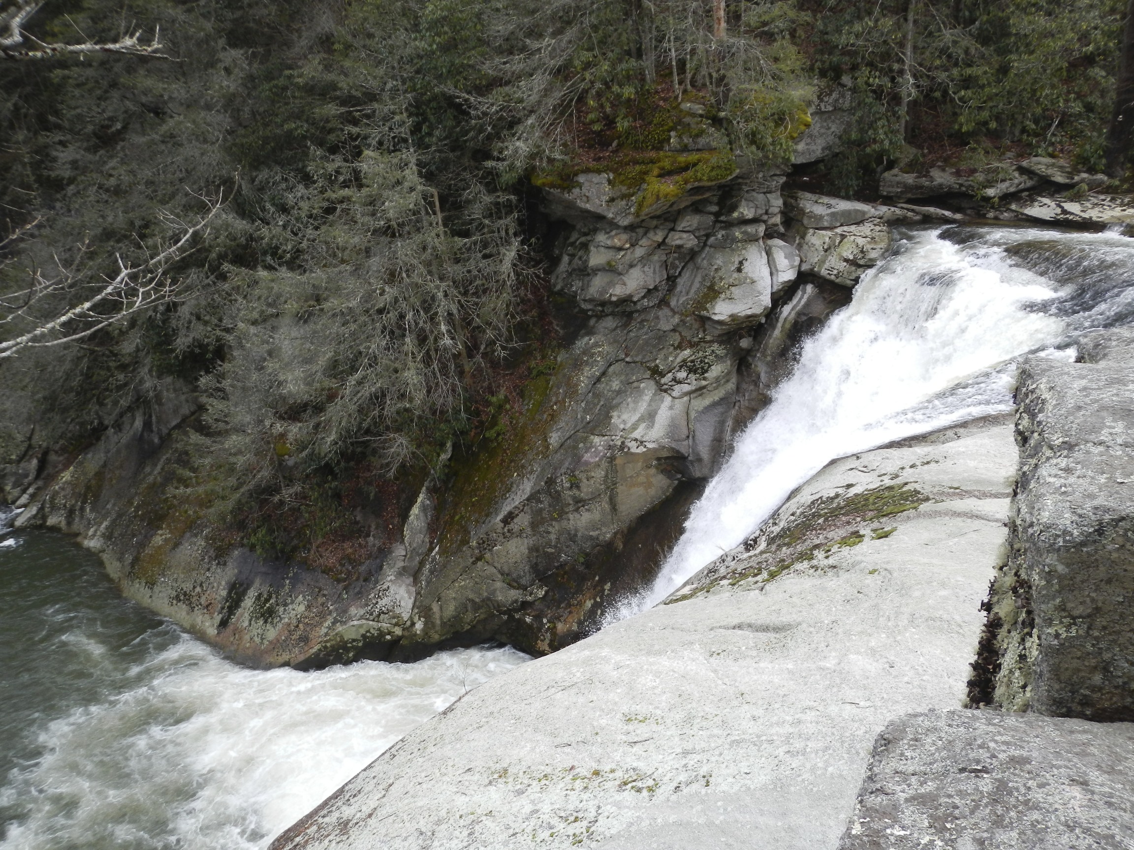 Elk River Falls, NC Dog Friendly Banner Elk Photos