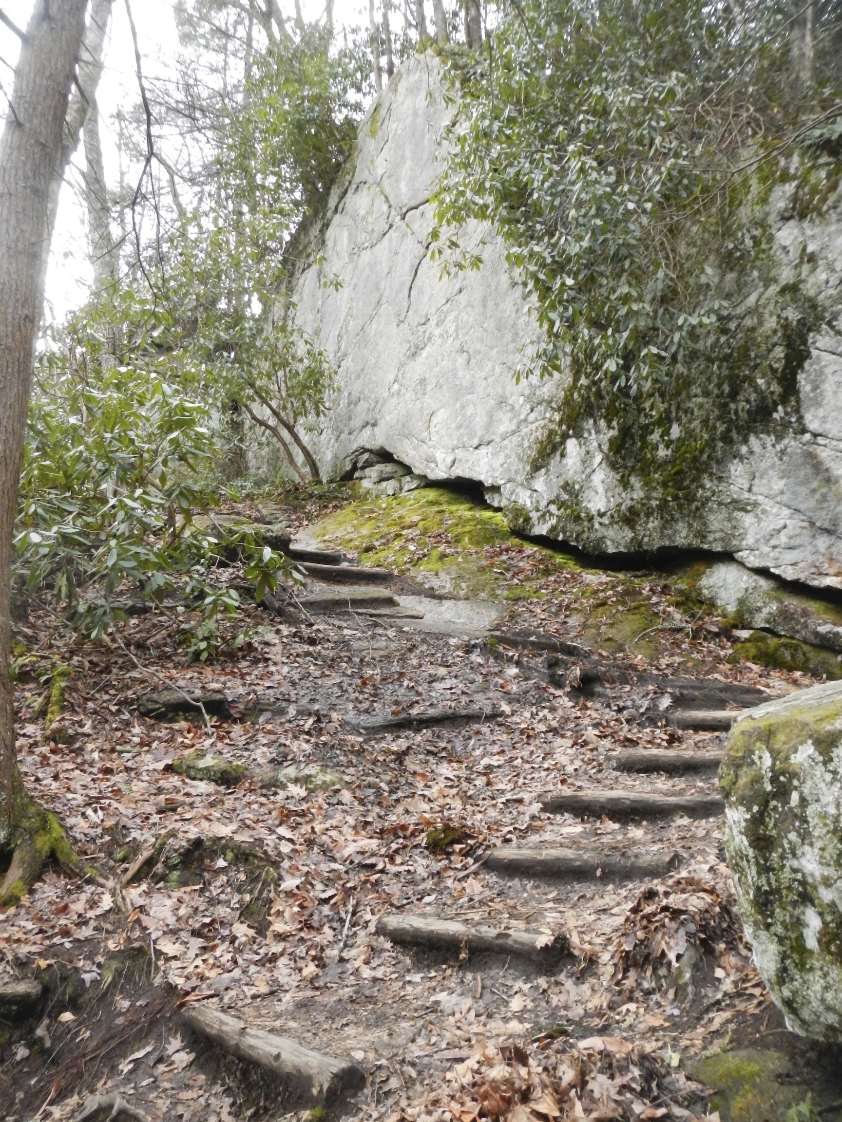 Elk River Falls, NC Dog Friendly Banner Elk Photos