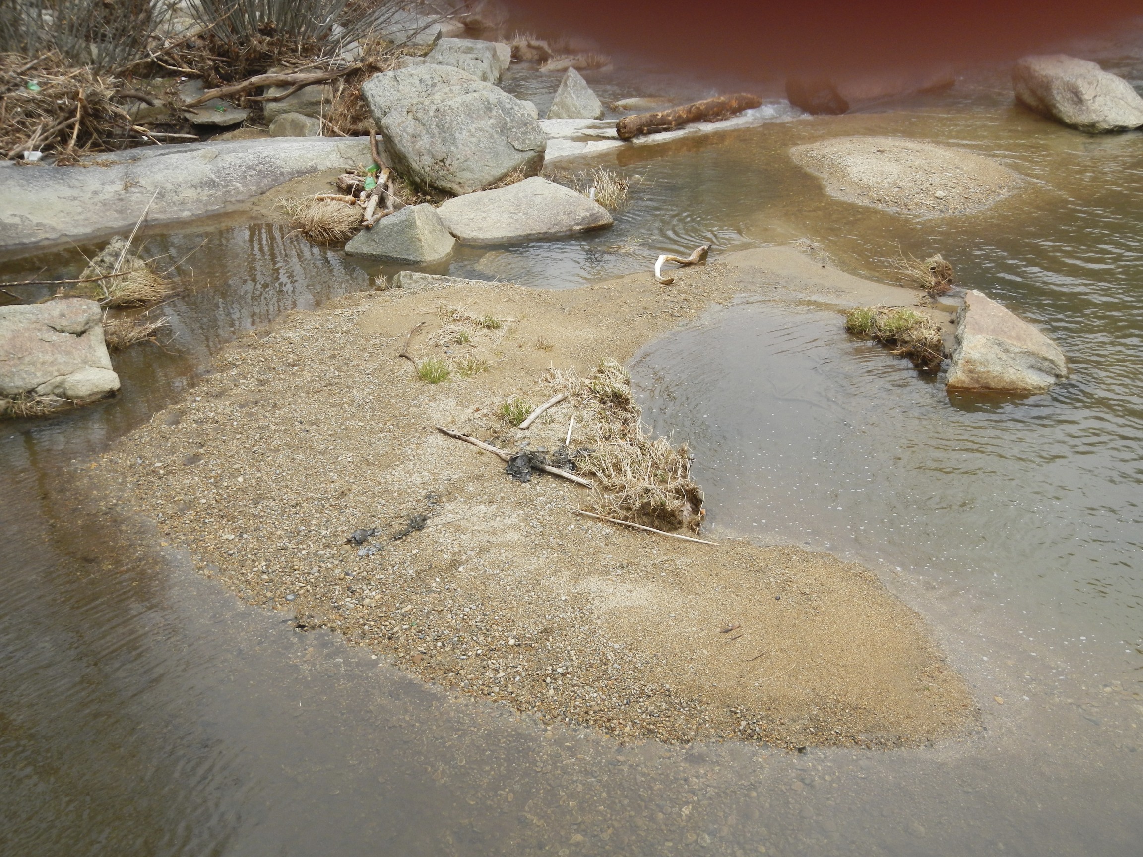 Elk River Falls, NC Dog Friendly Banner Elk Photos