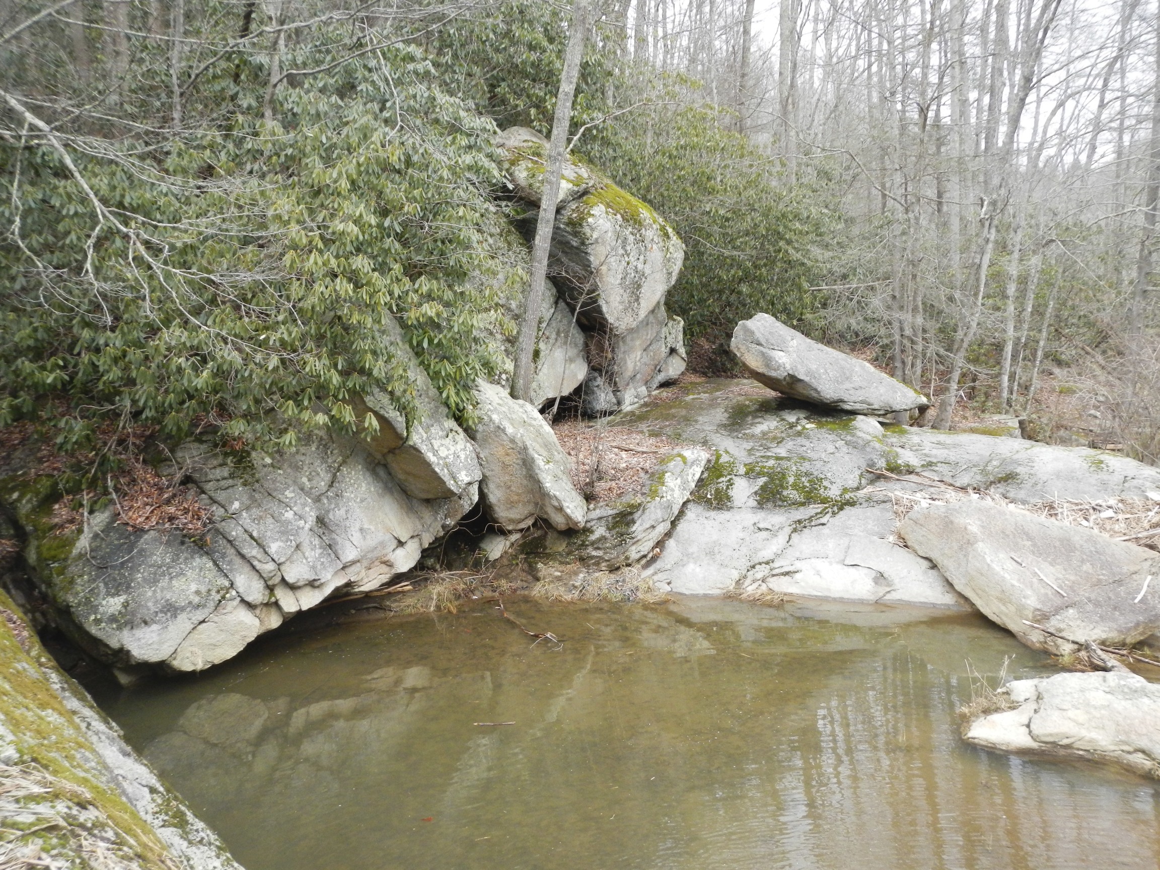 Elk River Falls, NC Dog Friendly Banner Elk Photos