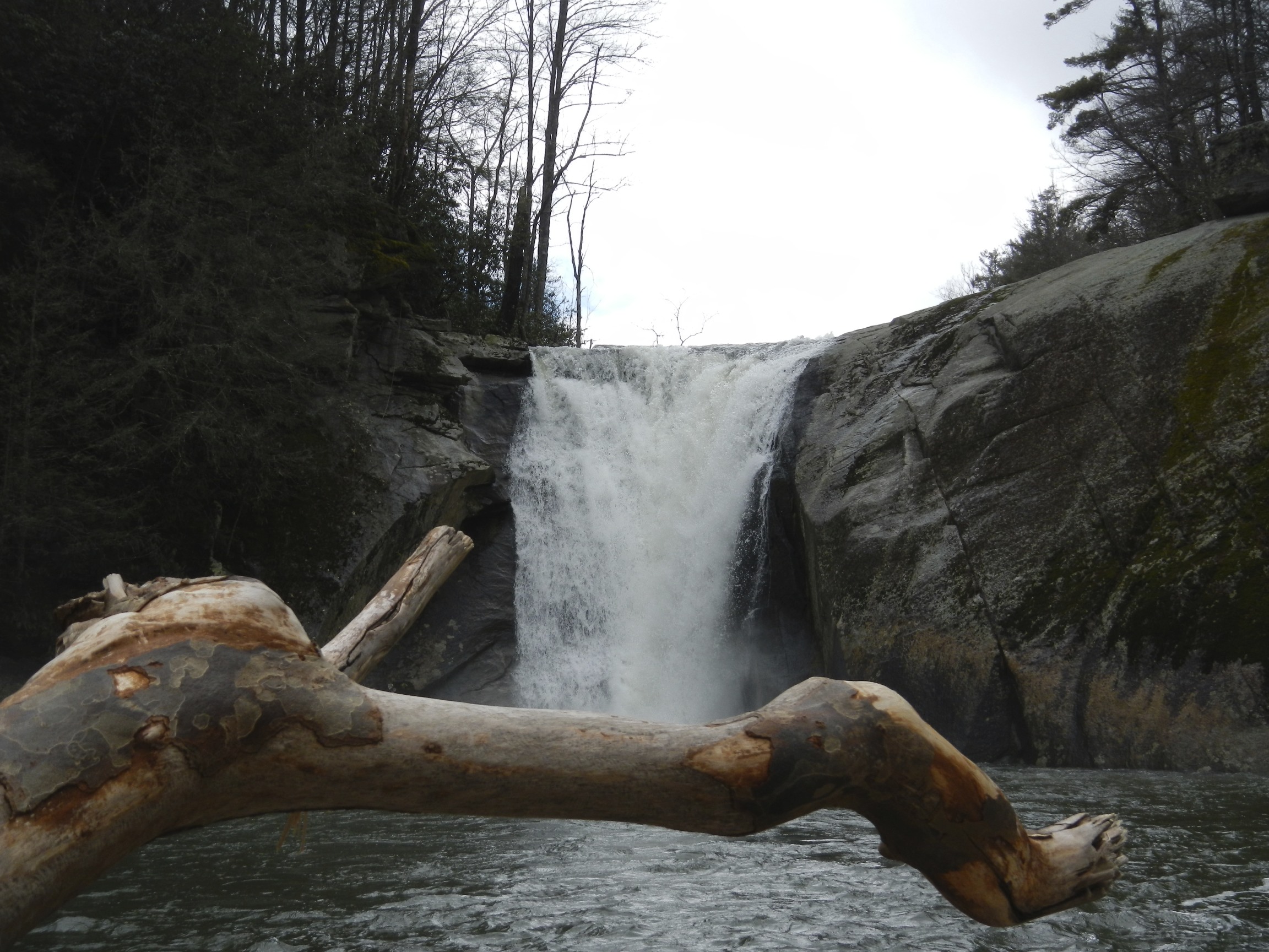 Elk River Falls, NC Dog Friendly Banner Elk Photos
