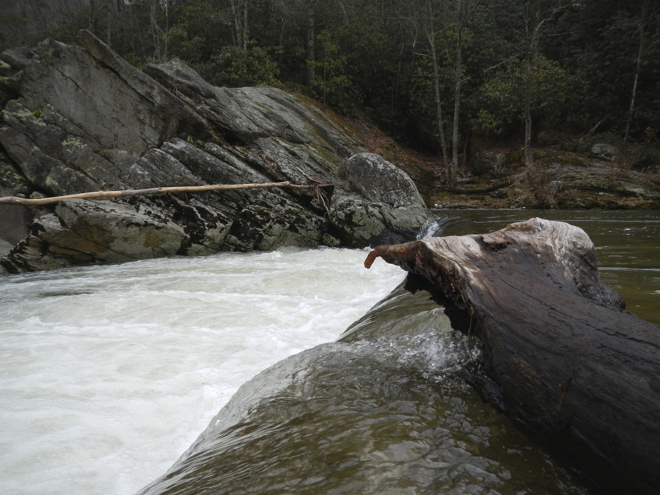 Elk River Falls, NC Dog Friendly Banner Elk Photos