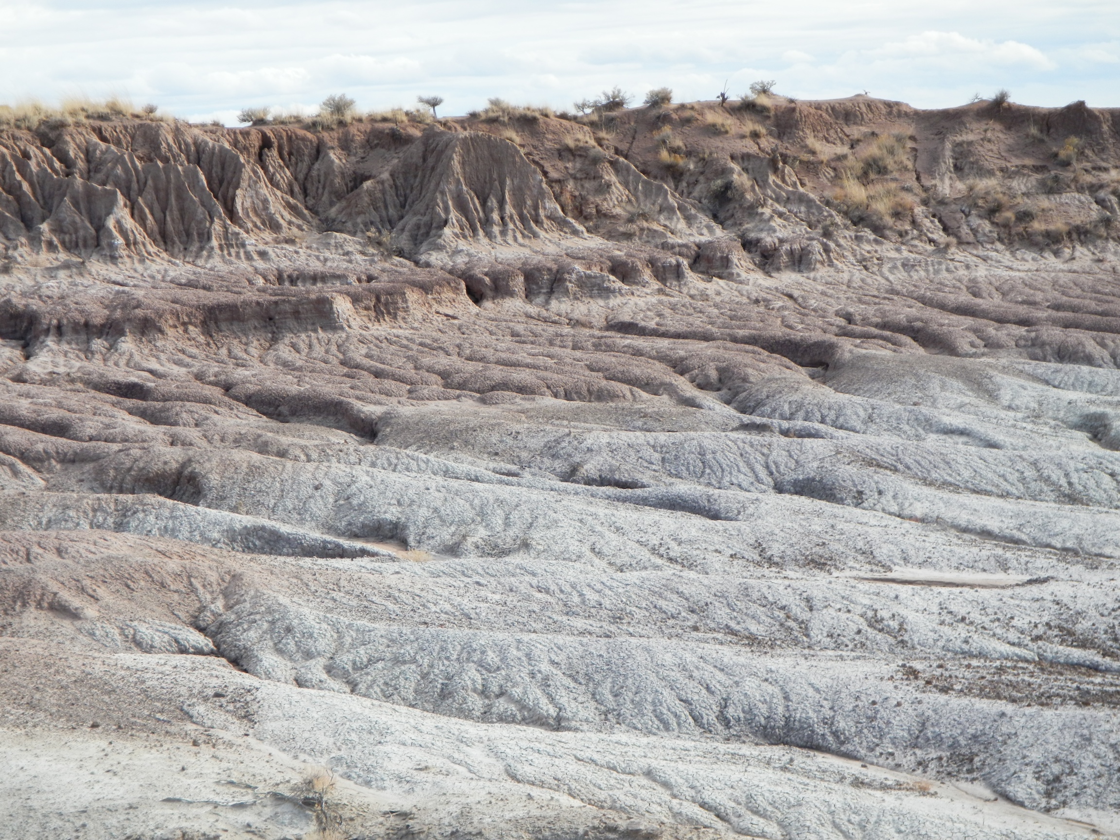 Petrified Forest National Park AZ Facts Travel Planner