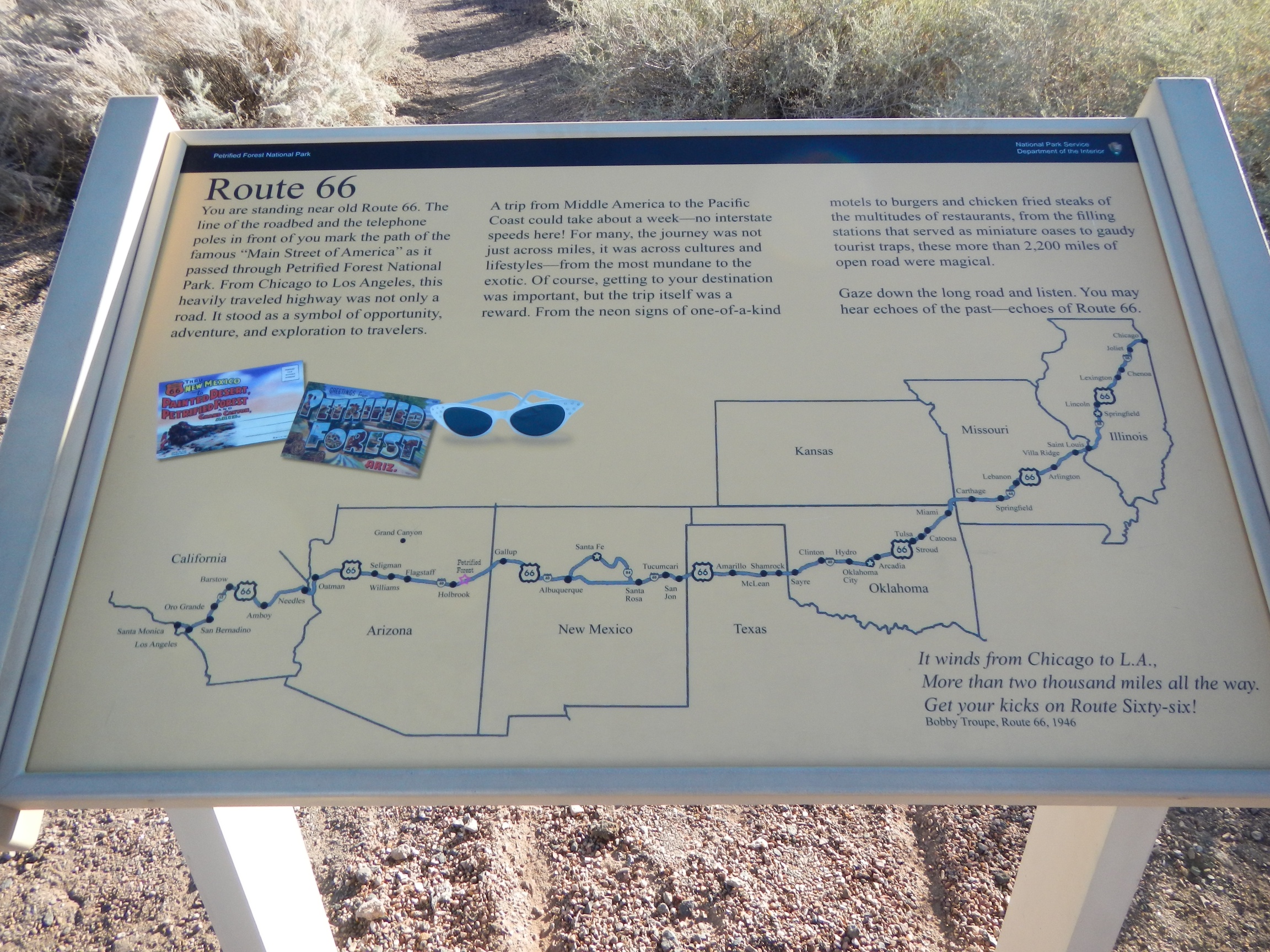 Petrified Forest National Park AZ Facts Travel Planner