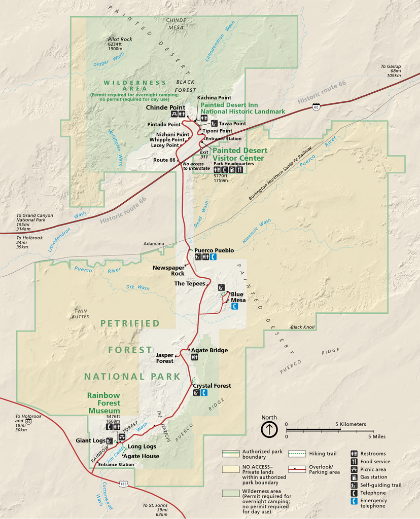Petrified Forest National Park AZ | Facts | Travel Planner
