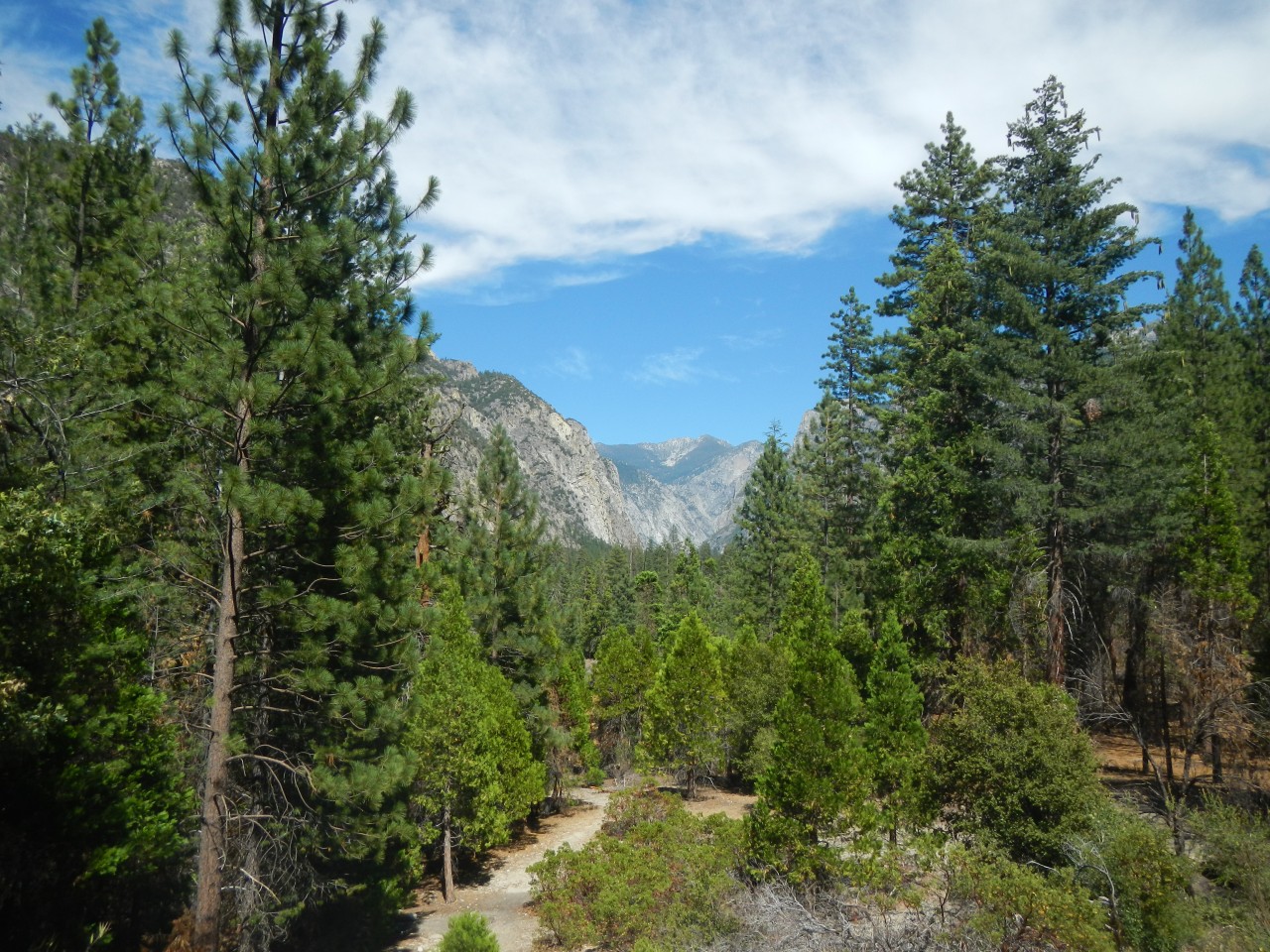 sequoia national park senior singles Annual pass providing free entrance to yosemite for 12 months from the date annual pass covering entrance and standard amenity fees for national parks senior pass: $80 (valid for life) or $20 (valid for 12 months from date of purchase. sequoia national park senior singles Annual pass providing free entrance to yosemite for 12 months from the date annual pass covering entrance and standard amenity fees for national parks senior pass: $80 (valid for life) or $20 (valid for 12 months from date of purchase.