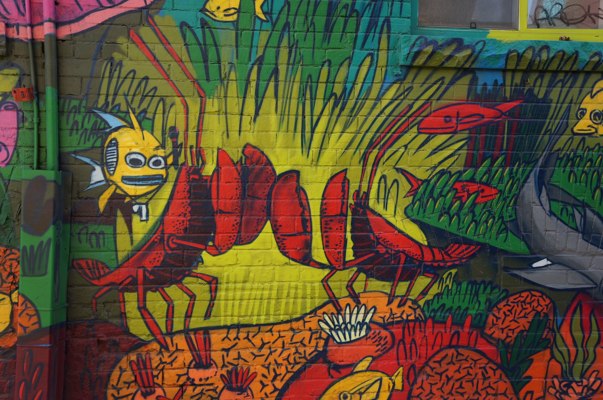 Toronto Street Art Photo Tour Graffiti Photography