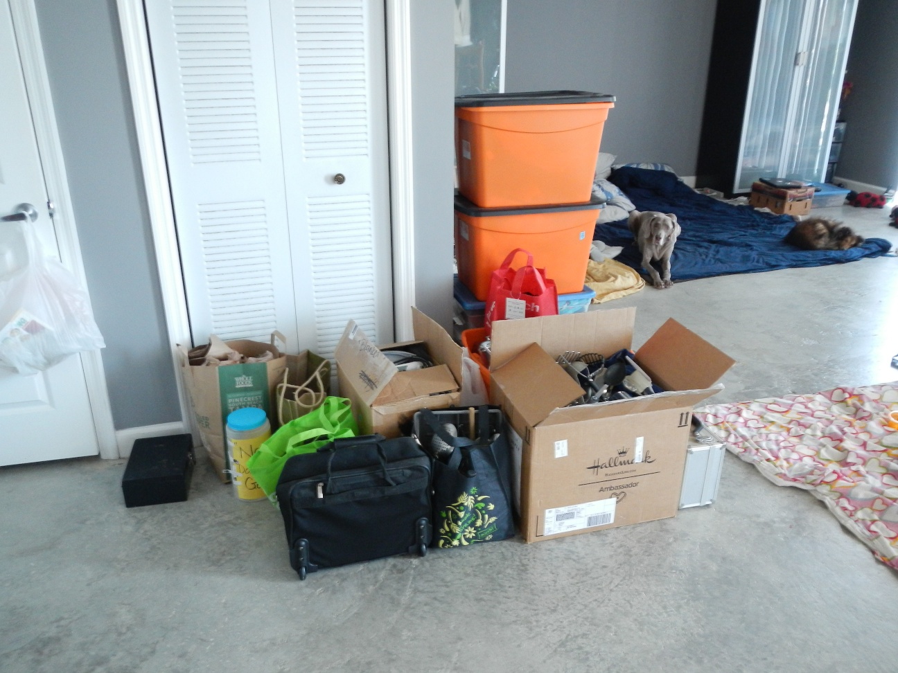 Self Storage Unit Finding Packing Tips Guide