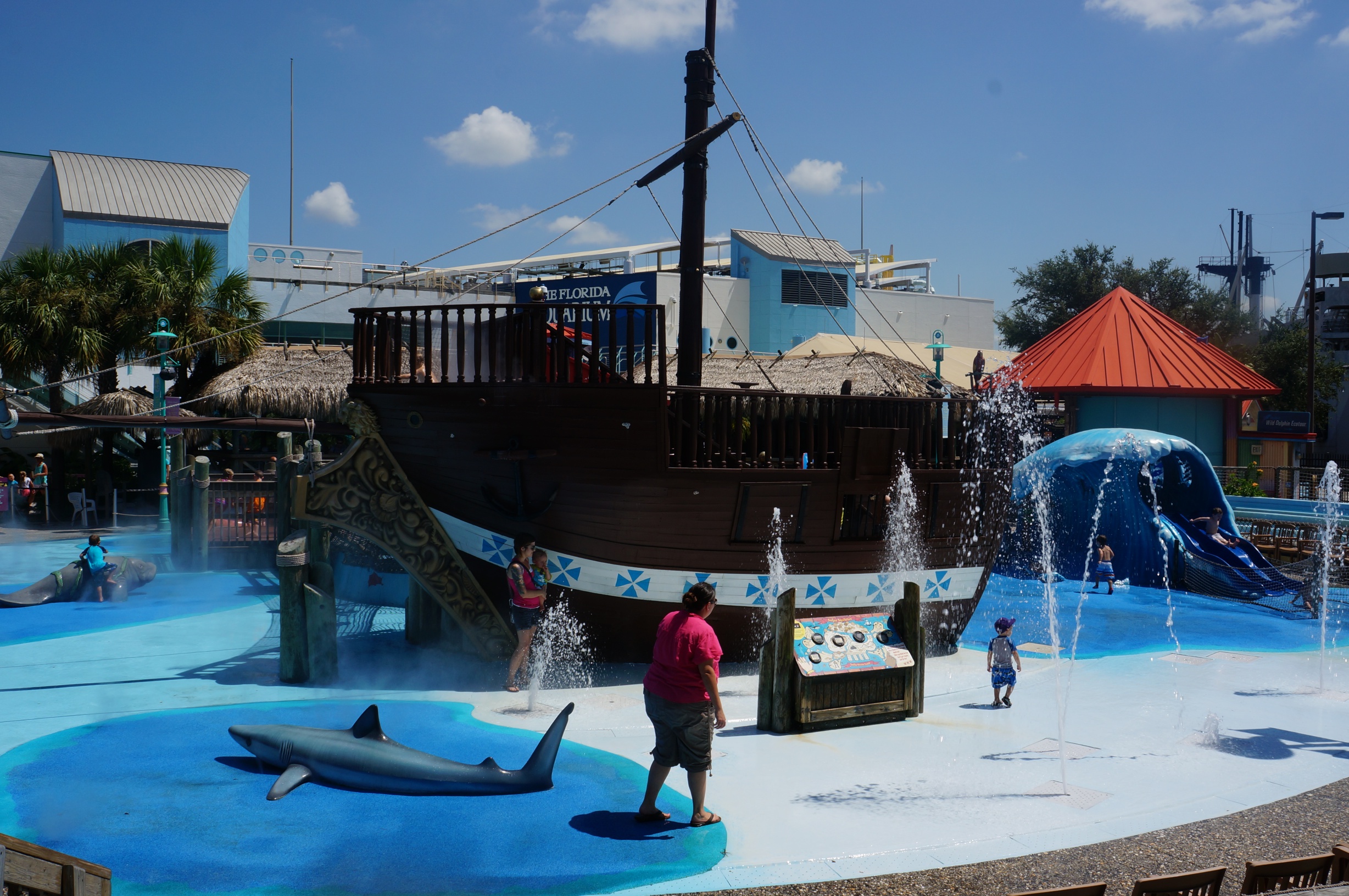 The Florida Aquarium An Exciting Day in Tampa Bay