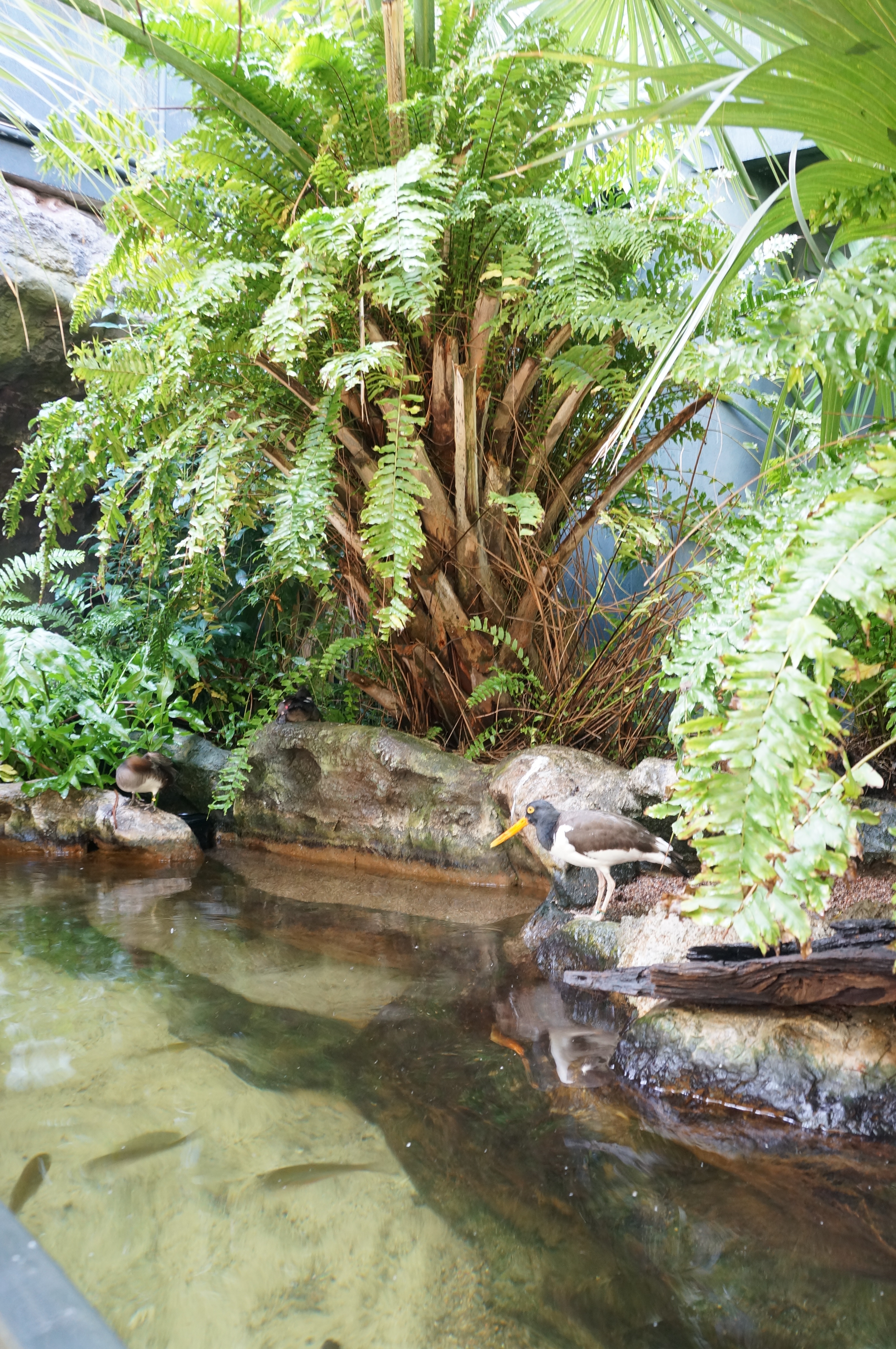 The Florida Aquarium An Exciting Day in Tampa Bay