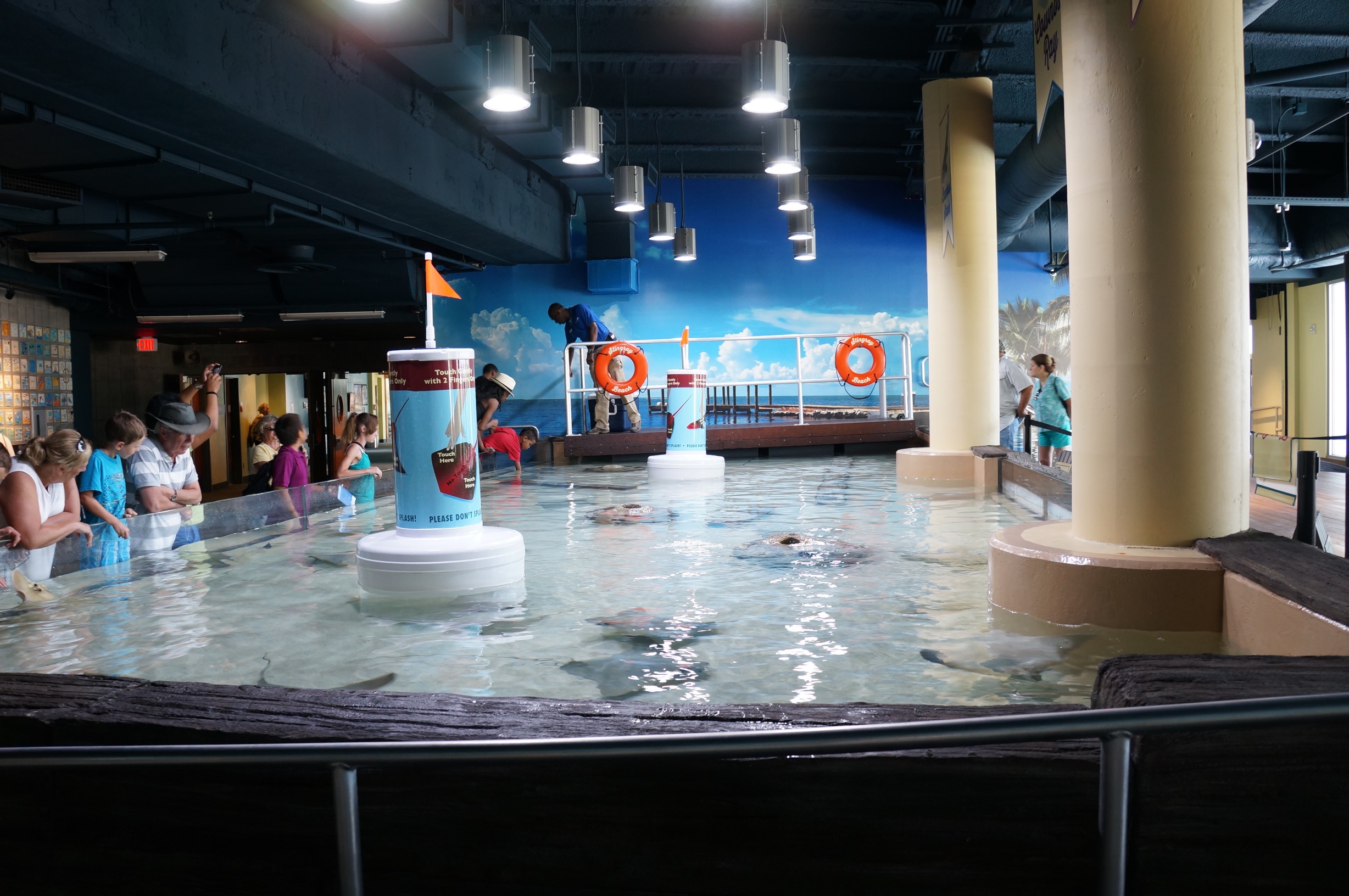 The Florida Aquarium An Exciting Day in Tampa Bay