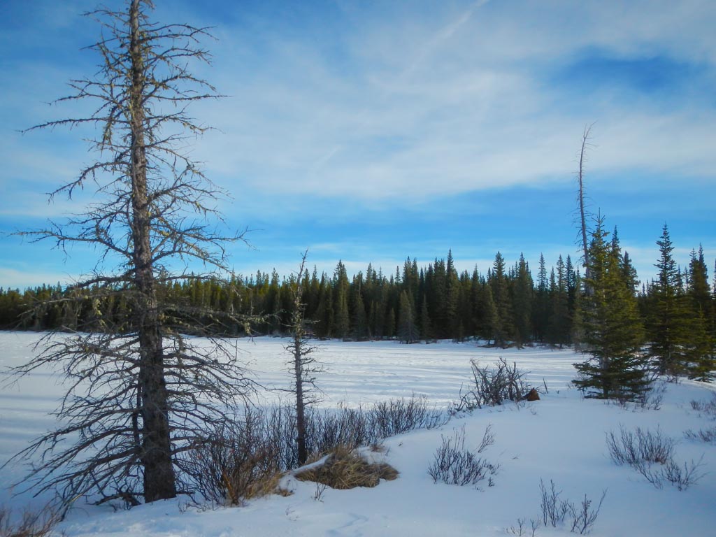 Kananaskis Heli Tour & Snowshoeing Adventure Review
