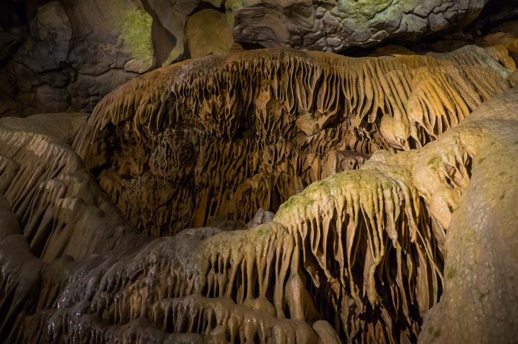 Howe caverns discount coupons