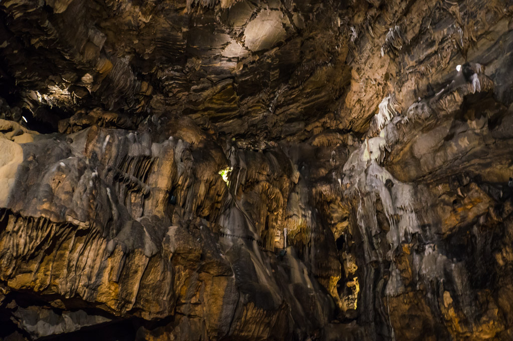 Howe caverns discount coupons