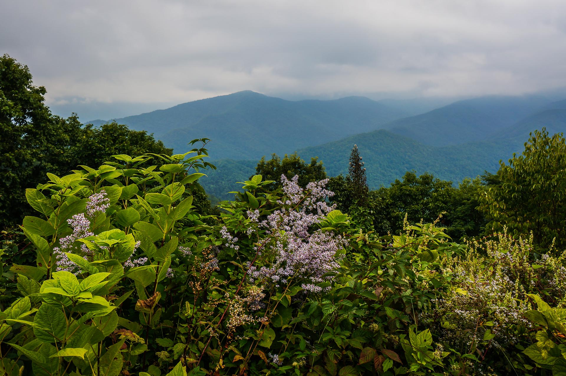 Blue Ridge Parkway Road Trip Planner Skyline Drive